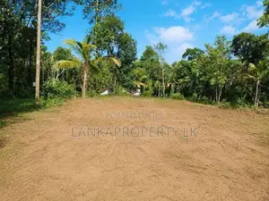 164 Perches of Valuable Land for Sale in Pannala