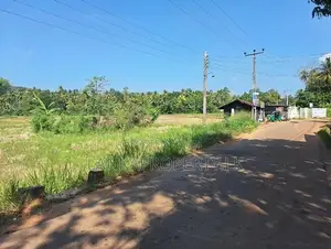 Paddy Land for Sale – Bataleeya Junction, Kajugama, close to Kandy Roa