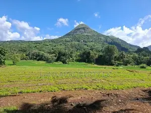 Valuable 3.75 Acres Agriculture Land for Sale in Matale.