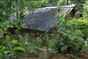 House with 25 Perch Land for Sale in Galaha