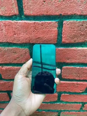 Apple iPhone 12 mini (Used)