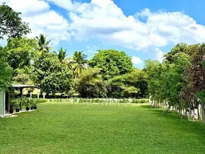 Land for Sale Thalawathugoda