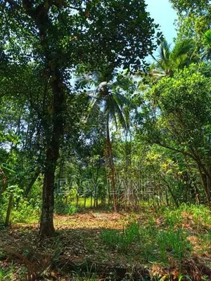 උඩුගම්පොළ – වීදියවත්තෙන් වටිනා බිම් කොටසක් /KM 10701