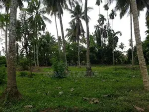 Bare Land for Sale in Kaduwela