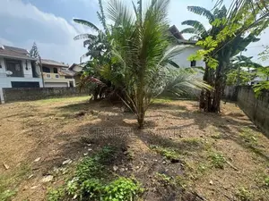 10.90P Bare Land For Sale In Bokundara