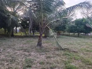 Land for Sale - Ampara Addalaichenai