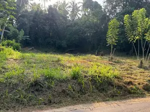 Veyangoda Land for Sale
