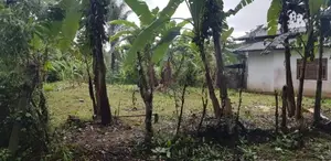 මතුගම නගරයට ලඟින් වටිනා බිම් කොටසක් විකිණීමට / SA 13915