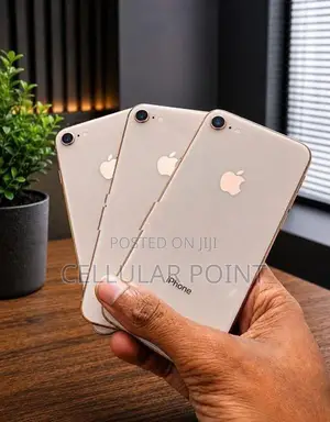 Apple iPhone 8 64GB (Used)