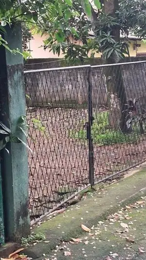 Super Land for Sale in Diwlpitiya
