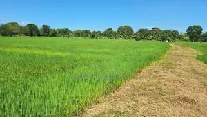 තනමල්විල වගා ඉඩමක් විකිනීම