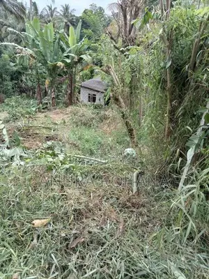 15 Perch Land for Sale in Katugastota