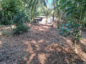 Gampaha Land for Sale