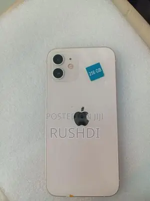 Apple iPhone 12 256gb (Used)