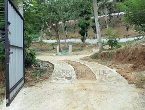 6 Acre Scenic Agricultural Land for Sale ( PRICE DROPED )