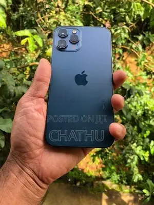 Apple iPhone 12 Pro Max 256 (Used)