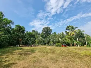 නිට්ටඹුව – අත්තනගල්ලෙන් වටිනා නේවාසික ඉඩමක් විකිණීමට / RU 11060