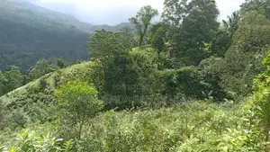 Land for Sale Kithulgala