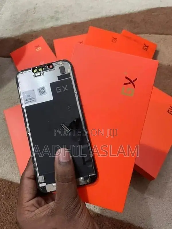 Apple iPhone 13 Pro Display