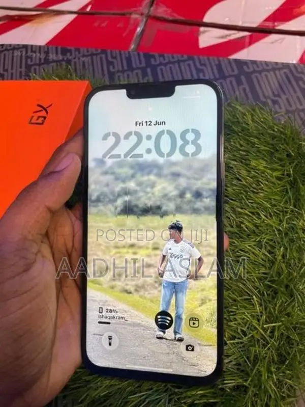 Apple iPhone 13 Pro Display