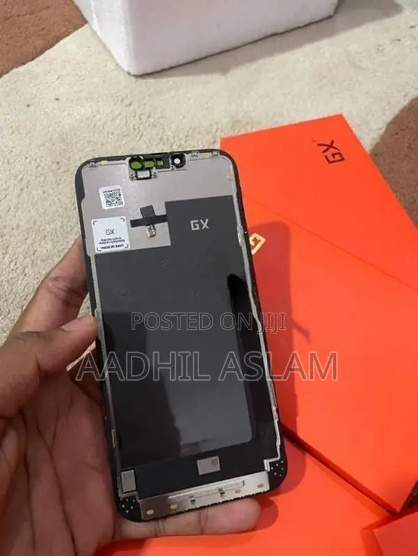 Apple iPhone 13 Pro Display