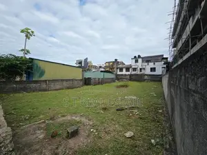 19P Commercial Bare Land For Sale Nawala