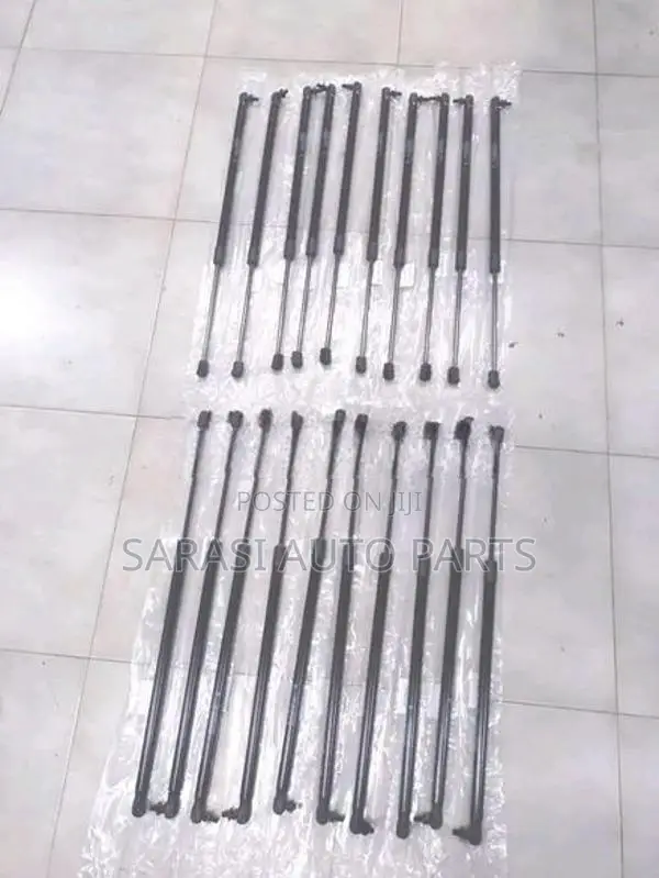 Wagon R 55S Dicky Shock