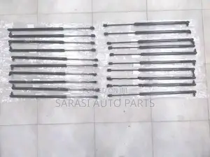 Wagon R 55S Dicky Shock