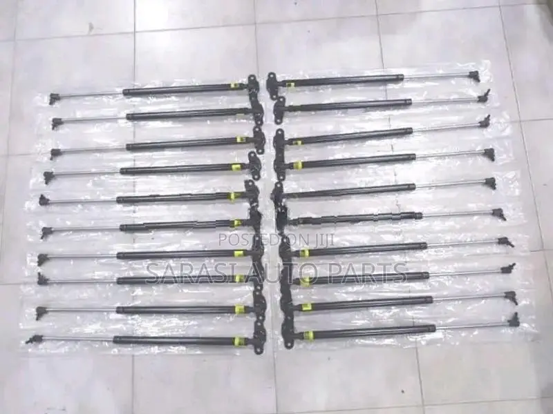 Wagon R 44 S Dicky Shock