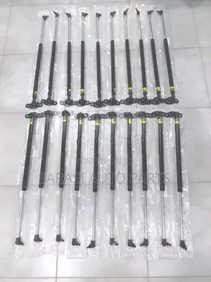 Wagon R 44 S Dicky Shock