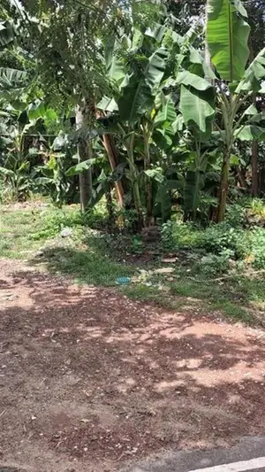 Super land for sale in Dewlpitiya