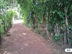 10 Perch Lands for Sale – Himbutana