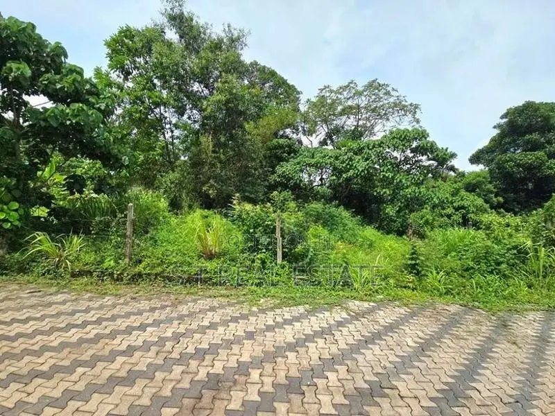 10P High Residential Bare Land For Sale In Thalahena