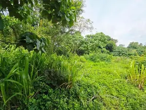 10P High Residential Bare Land For Sale In Thalahena