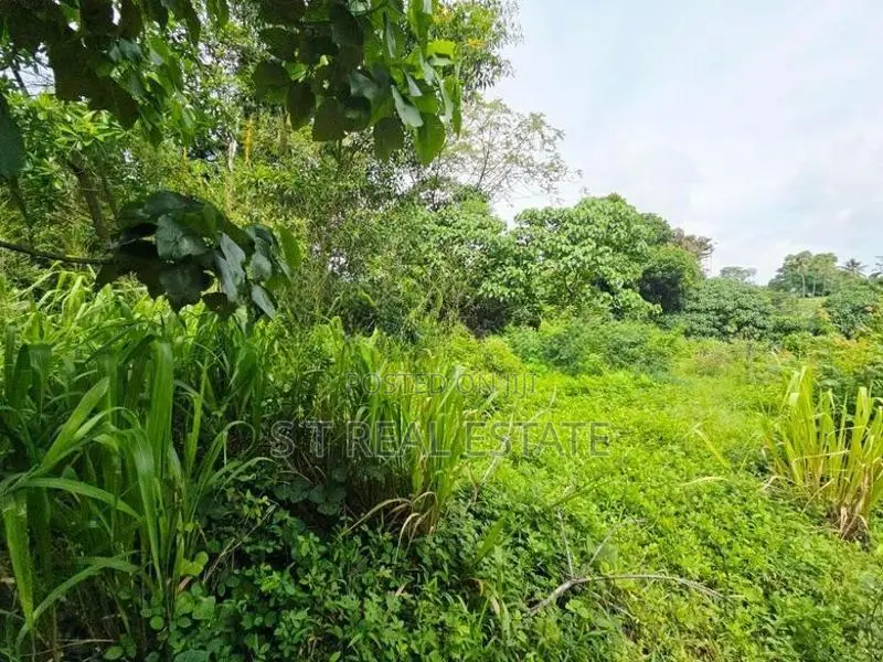 10P High Residential Bare Land For Sale In Thalahena