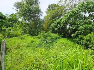 10P High Residential Bare Land For Sale In Thalahena