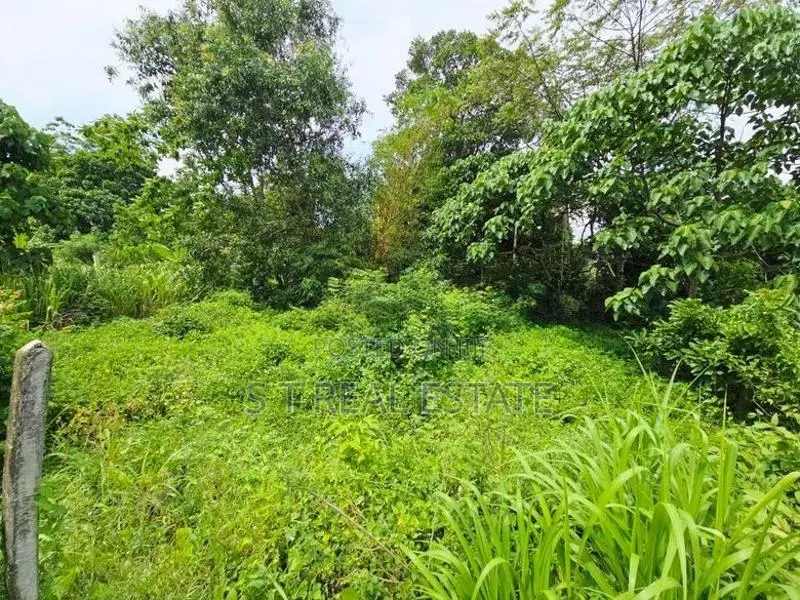 10P High Residential Bare Land For Sale In Thalahena