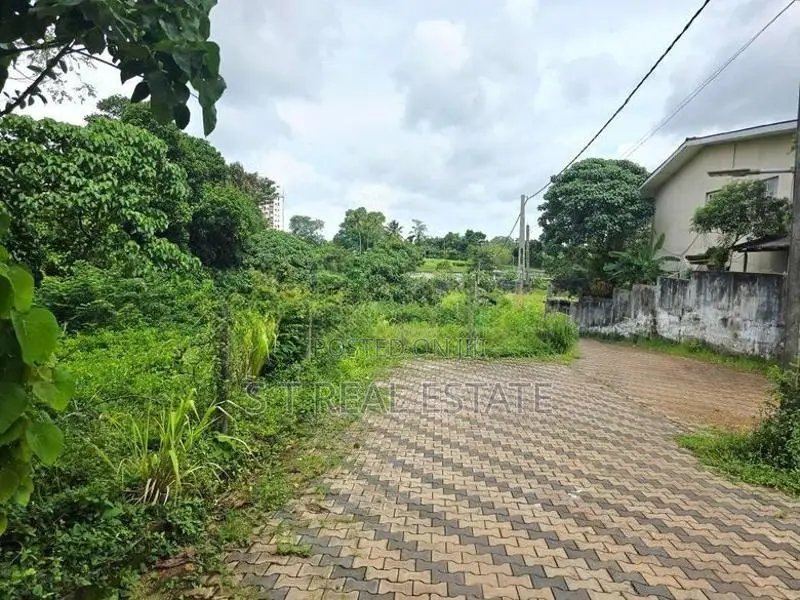 10P High Residential Bare Land For Sale In Thalahena