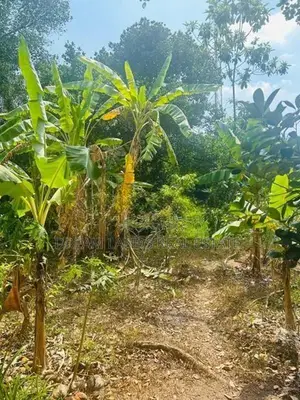 Bear Land for Sale Amunugama Kandy