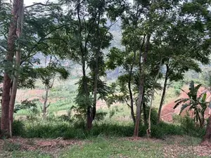 Land for Sale in Bandarawela