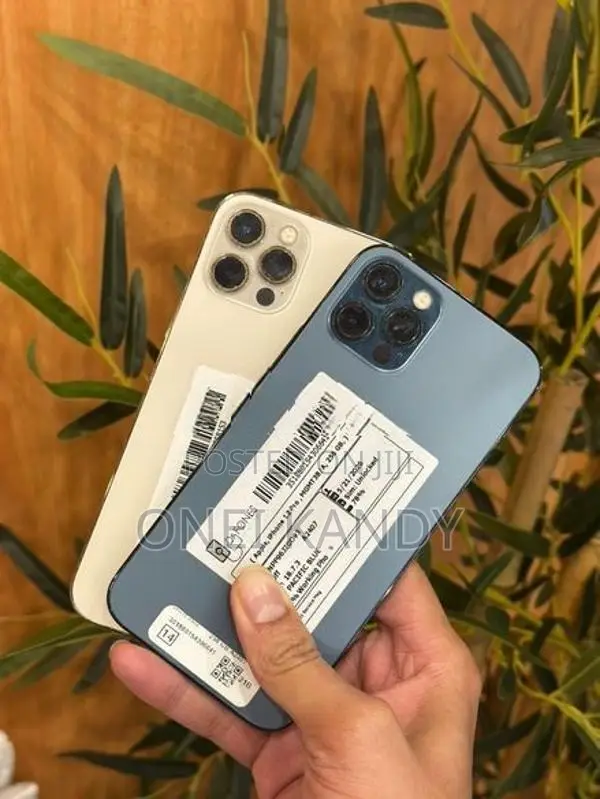 Apple iPhone 12 Pro 256GB (Used)