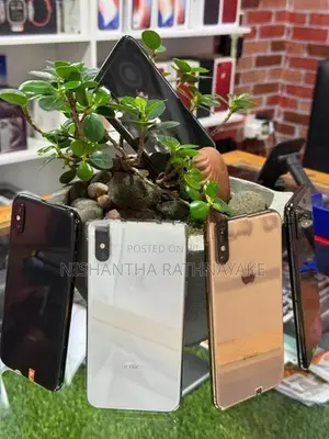 Apple iPhone XS 256GB (Used)