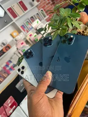 Apple iPhone 12 Pro 256GB (Used)