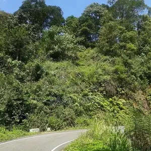 නාවලපිටියෙන් අක්කර 1 3/4ක වටිනා ඉඩමක්