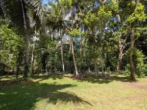 ඉඩමක් විකිනීමට Wellawaya