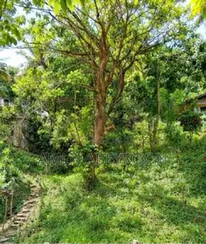 Land for Sale Galagedara