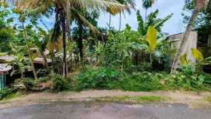 කිරිල්ලවලින් වටිනා ඉඩමක්