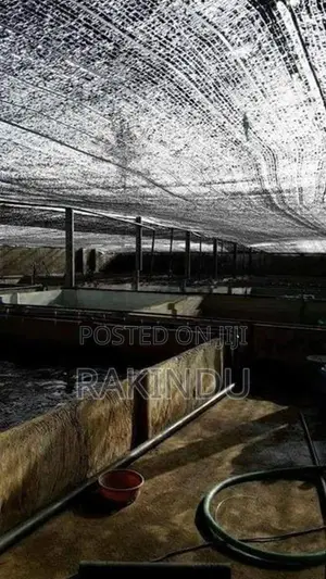 Fish Farm for Sale Negombo
