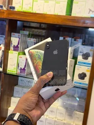 Apple iPhone XS Max 256GB (Used)