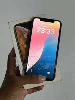 Apple iPhone XS 256GB (Used)